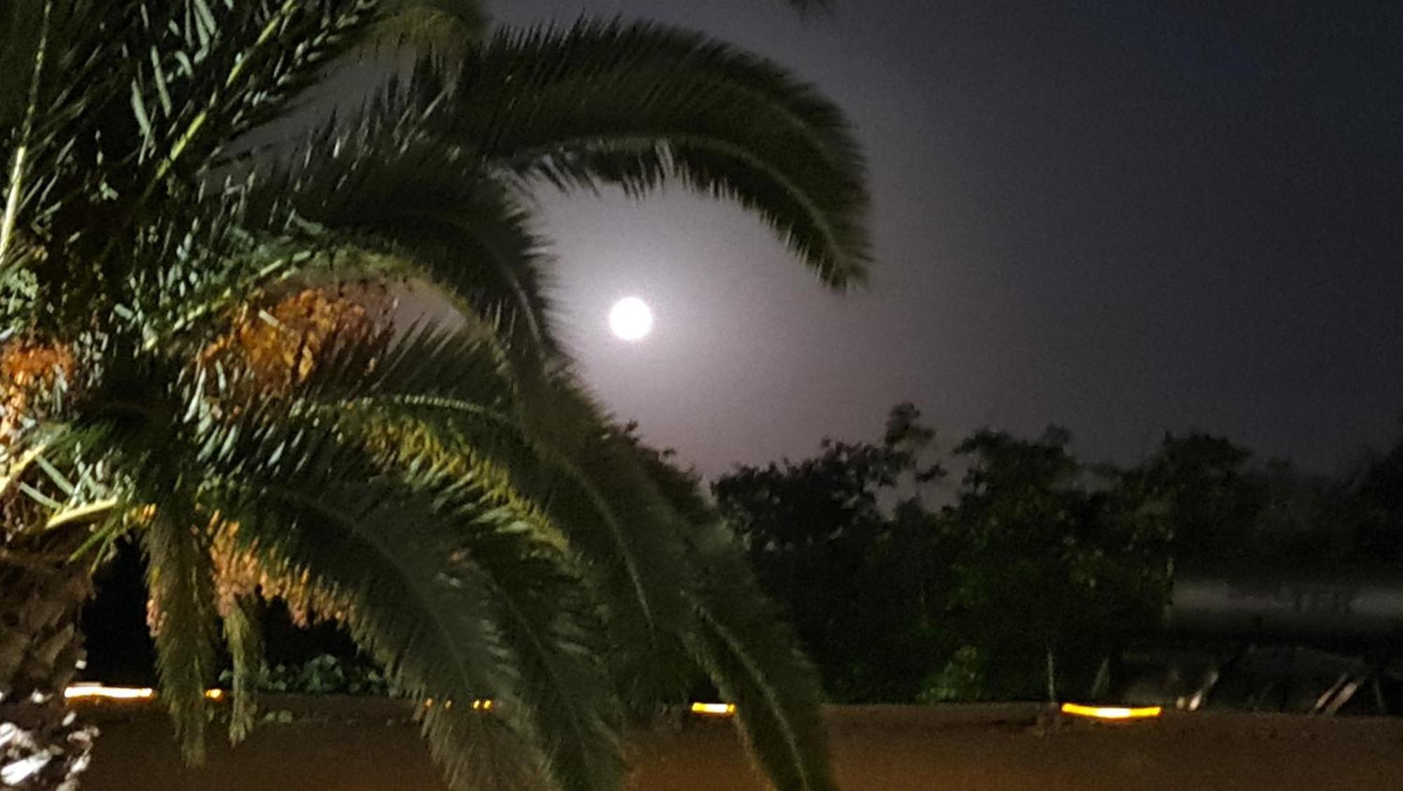 شقة The Palms Novasithonia فوروفورو المظهر الخارجي الصورة